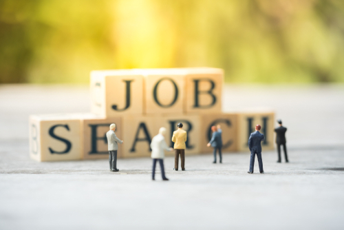 Job Search